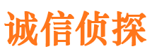 新河市侦探公司